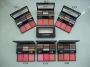 MAC Makeup Store 9 Colors Eye shadow & 3 Blusher Online